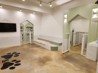 발앤발 애견호텔