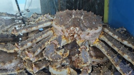 박일수산