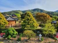 갈멜 왕실의 펜션