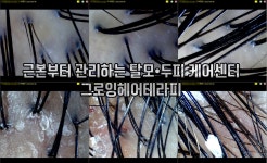 H.리셀 평택안중본점