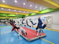 국예경희대태권도체육관