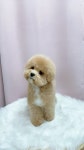 해피하우스