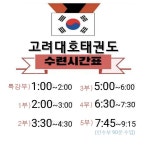 고려대호태권도