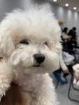 옐레드 문래역점