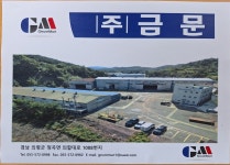 금문
