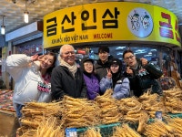 금산인삼