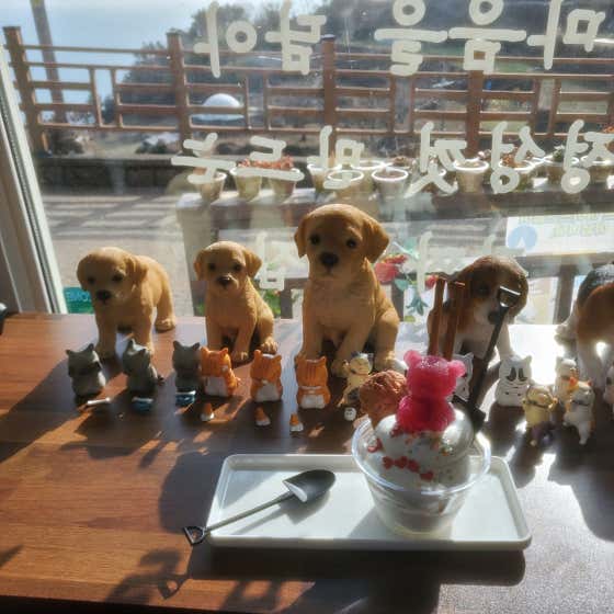 삼촌커피 사진