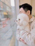 부부펫살롱