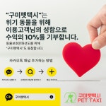 구미펫택시