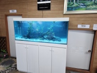 물의나라수족관
