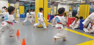 용인대경일태권도