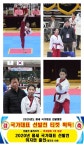 금빛태권도