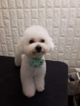 멍블리