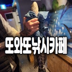 또와또 실내낚시터 낚시카페 간석동