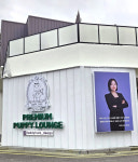 대구강아지분양 테디럽