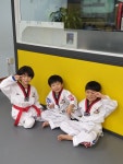 용인대경일태권도