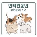 참신렌트카여행사 인천영업소