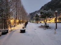 매초약선 한식이야기