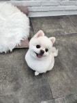 우리몽