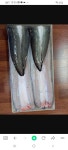 백억수산 풍천민물장어 본점