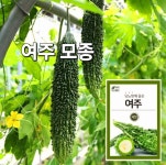 해나루 고대 육묘장