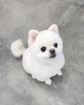 우리몽