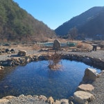 동작골 노래꽃피는집