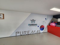 푸르매태권도