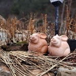 동작골 노래꽃피는집