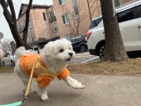 옐레드 부천상동점