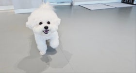 옐레드 부천상동점