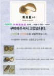 머쉬팜농장