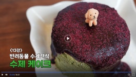 펫팜헬스케어