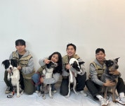 올바른참견 애견유치원 애견훈련 고잔점