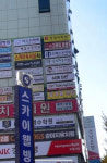 대동체육관