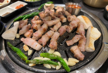 송고집