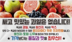 싱싱 포도원