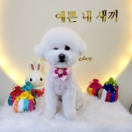 파파펫살롱