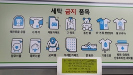 크린토피아 코인워시 수목원풍경채점