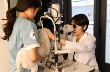 올리몰스동물메디컬센터