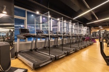 올스타짐 헬스 PT 도화점