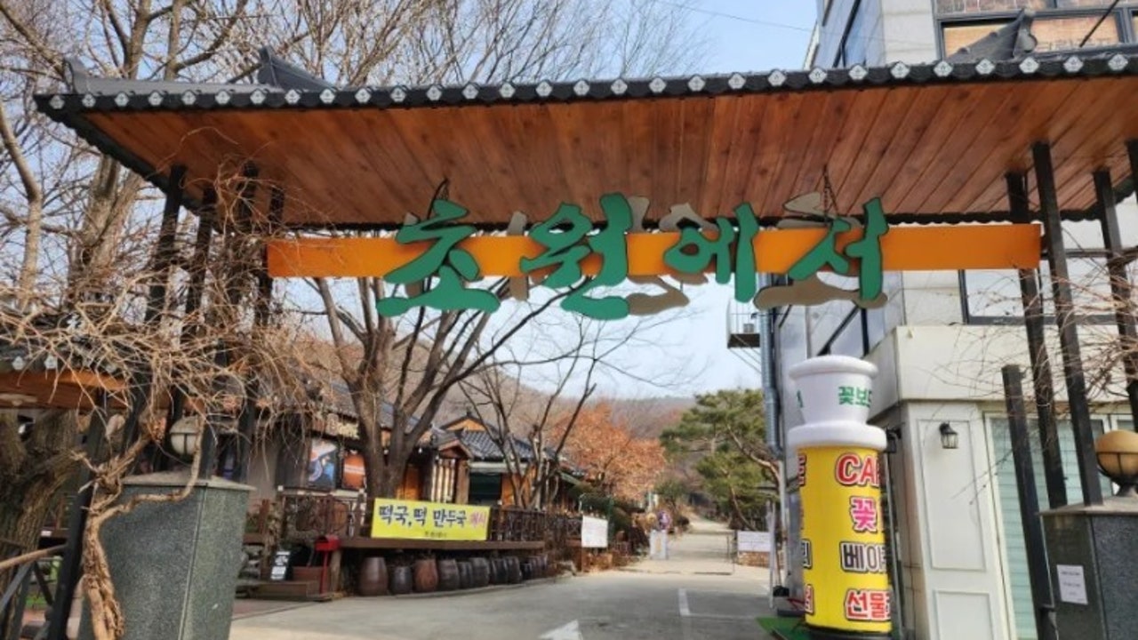 초원에서