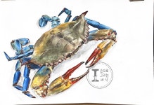 손으로그리는세상미술학원