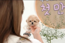 미앤유펫 강아지고양이 원주점