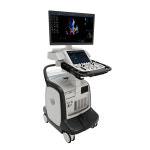 BK심장동물병원