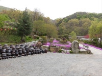 선봉사 처녀만신 신점 점집