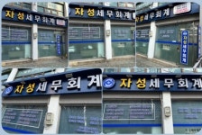 자성 세무회계