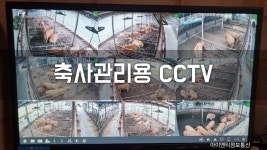 아이엔티정보통신