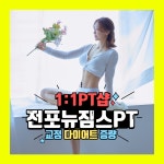 뉴짐스