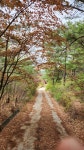지리산둘레여행